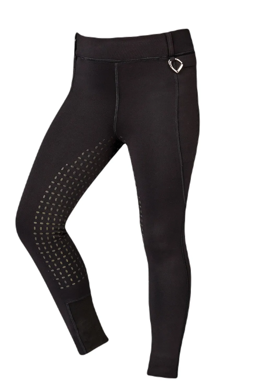 Dublin Warm It Thermodynamic Riding Tights